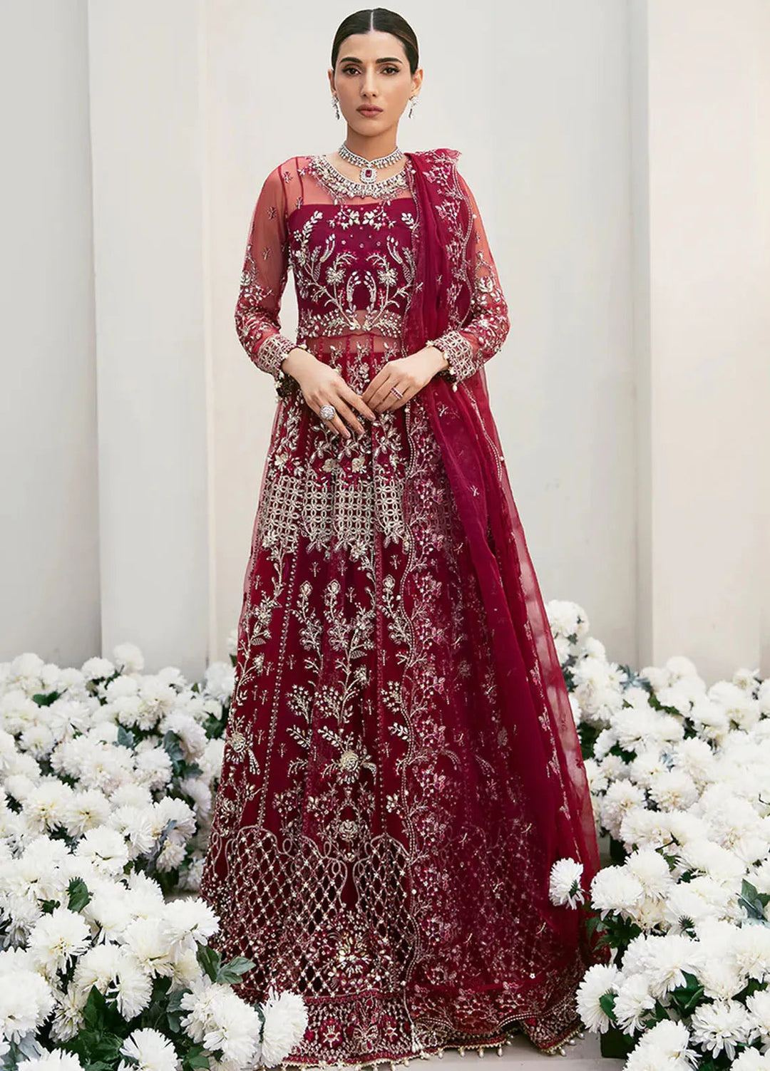 Ruby Red Embroidered Net Gown